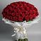 Букет 101 Красная роза Блэк Мэджик в Левокумке