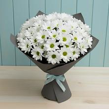 Букет цветов из:  Хризантемы #REPLACE_PRED# Левокумке