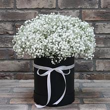 Цветочная композиция из Гипсофила в шляпной коробке #REPLACE_PRED# Левокумке