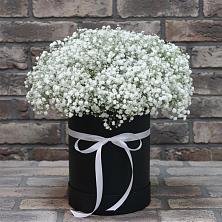 Цветочная композиция из Гипсофила в шляпной коробке в Левокумке