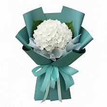 Букет цветов из:  Гортензия в Левокумке